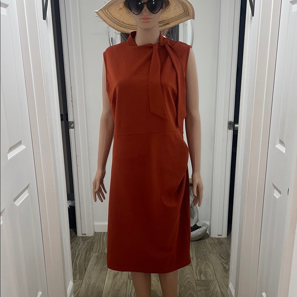 Elegant Rust Dress